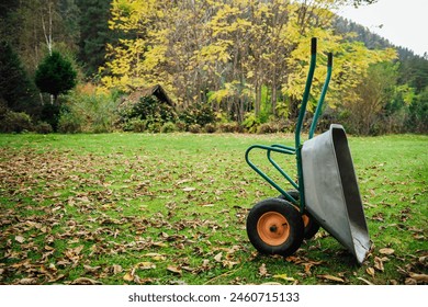 An empty wheelbarrow, garden cart in an autumn garden, against a background of trees and a lot of fallen dry yellow leaves with copy space. Seasonal gardening, plant care, gardening and farm tools.