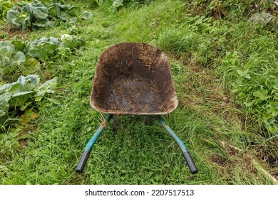 Empty Wheelbarrow Standing On A Green Meadow. Wheelbarrow For Transporting Livestock Manure.