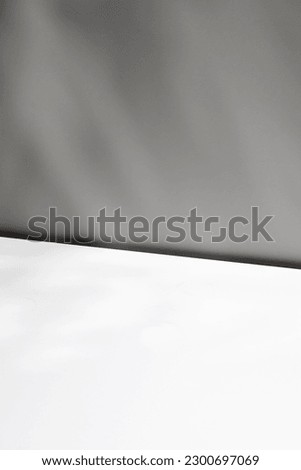 Empty white background with window shadow, sunlight, sun. Template for advertising, presentation, cosmetic products. Photography. Diagonal scene.