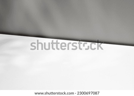 Empty white background with window shadow, sunlight, sun. Template for advertising, presentation, cosmetic products. Photography. Diagonal scene.