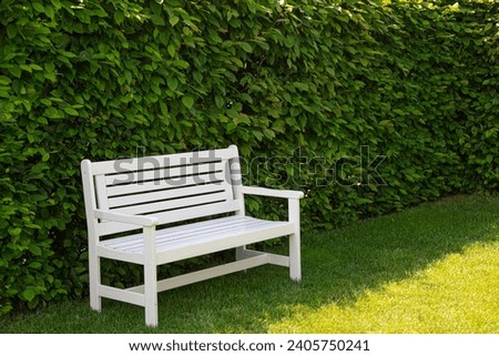 An empty white bench in the sun on a lawn in front of a high beech hedge