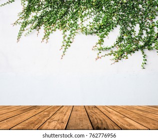 Empty white concrete background with green leaves and brown wood floor.