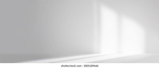 Empty White Corner. Abstract Studio Background For Product Presentation. 3d Room With Shadows Of Window. Minimalistic Space Concept With Blurred Backdrop. Banner