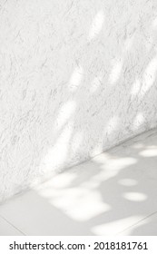 Empty White Corner With Tropical Leaf Shadow