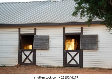 An Empty White Horse Stable