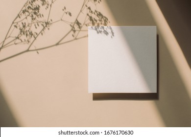 Empty White Paper Mock Up With Leaves Shadows On Beige Background. Holiday Marketing, Business Card And Email Newsletter Concept.