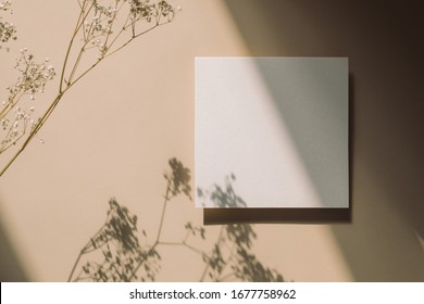 Empty White Paper Mock Up With Leaves Shadows On Beige Background. Holiday Marketing, Business Card And Email Newsletter Concept.