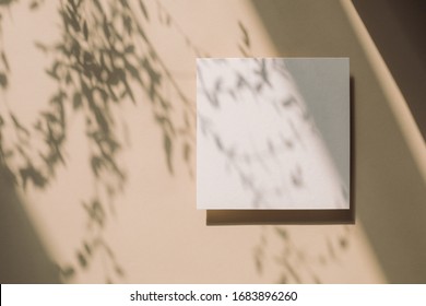 Empty White Paper Mock Up With Leaves Shadows On Beige Background. Holiday Marketing, Business Card And Email Newsletter Concept.