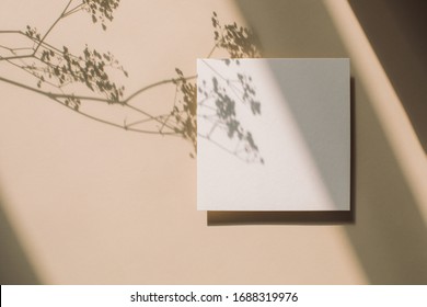 Empty White Paper Mock Up With Leaves Shadows On Light Beige Background. Holiday Marketing, Business Card And Email Newsletter Concept.