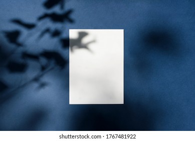 Empty White Paper Mock Up With Leaves Shadows On Classic Blue Background. Holiday Marketing, Greeting Card, Invitation, Email Newsletter Concept. Flat Lay, Top View. Minimalist Style.