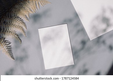 Empty White Paper Mock Up With Leaves Shadows On Gray Background. Holiday Marketing, Business Card And Email Newsletter Concept.