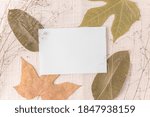 Empty white paper on table with natural leaves