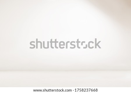 Empty white room. Seamless white photography backdrop. Infinity curve, cyc wall, cyclorama. 