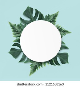 Empty White Summer And Spring Nature Background With Green Leaves And Circle Frame For Copy Space Or Text Creative Advertising