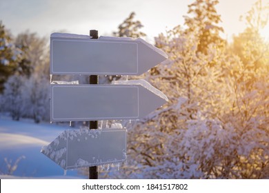 Empty white track pointers, guidepost in sunlight against winter nature background. Directional arrow signs on wooden pole in snowy forest. Christmas and New Year card