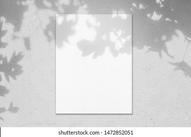 Empty White Vertical Rectangle Poster Mockup With Soft Hawthorn Leaves Shadows On Neutral Light Grey Concrete Wall Background. Flat Lay, Top View