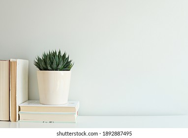 Empty White Wall Mockup And Shelf With Books And Cactus Plant, Blank Wall For Artwork Display.	