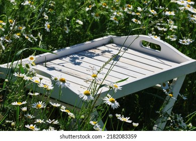 Empty White Wooden Table In A Camomile Field, Mock Up. Shallow Depth Of Field. Empty Space For Product Montage.