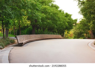 Empty Winding Asphalt Road Leaving Over A Horizon In Urban City Park, Square. Long Semi-circular Wooden Bench For Relaxing In Nature. Lush Green Vegetation, Deciduous Trees In Spring Or Summer Day. 