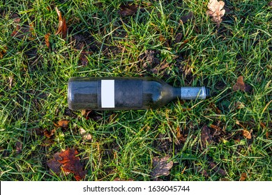An empty wine bottle lies on the lawn