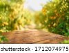 nature table background