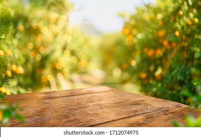 Empty wood table with free space over orange trees, orange field background. For product display montage - Shutterstock ID 1712074975