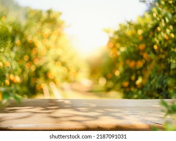 Empty wood table with free space over orange trees, orange field background. For product display montage	
