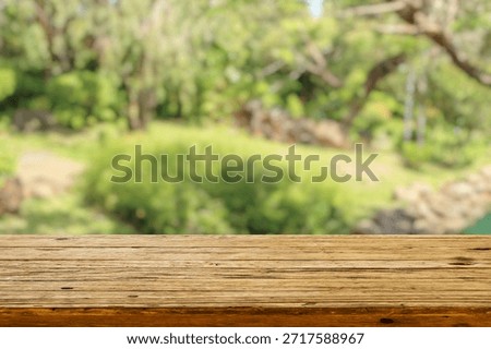 Empty wood table top with abstract blur park garden background