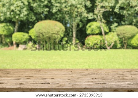 Empty wood table top with abstract blur park garden background