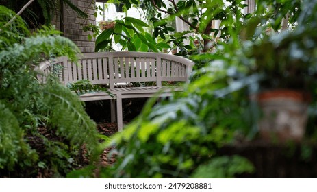 Empty wooden bench hidden in a lush garden surrounded by vibrant lush garden - Powered by Shutterstock