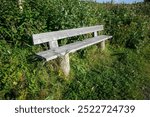 empty wooden bench in a sunny lush natural environment, Kempele Finland