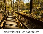 Empty wooden boardwalk in autumn park. Long wooden footbridge over the wetland. Katowice, Silesia, Poland