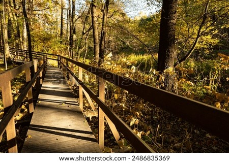 Similar – Image, Stock Photo Long wooden footbridge with an empty park bench at dusk