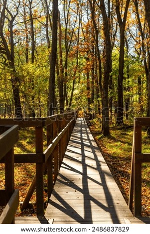 Similar – Image, Stock Photo Long wooden footbridge with an empty park bench at dusk