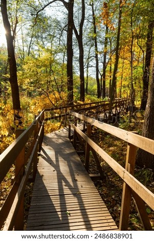 Similar – Image, Stock Photo Long wooden footbridge with an empty park bench at dusk