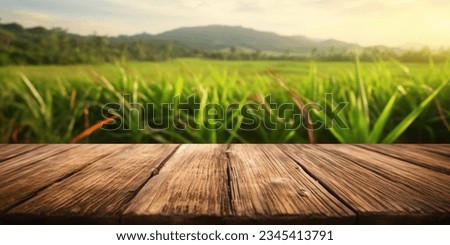 The empty wooden brown table top with blur background of sugarcane plantation. Exuberant image.