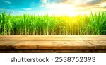 Empty Wooden Brown Tabletop with Blurred Background of Sugarcane Plantation - Perfect for Product Display or Montage