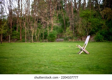 Empty Wooden Chair On The Green Grass In The Forest