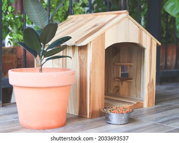 Empty Wooden Dog's House With Dog Food Bowl  In Balcony Decorated With Houseplant In Plant Pot.