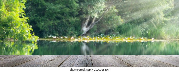 empty wooden jetty planks in front of a blurred water idyll background with wild vegetation in sunlight, beautiful summertime in nature lakeside, natural pond landscape with advertising space 