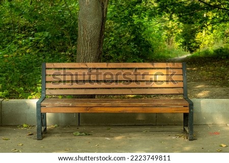 An empty wooden park bench at the edge of a path. 