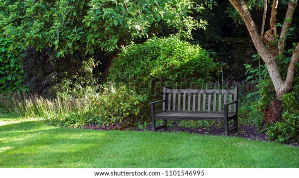 Empty Wooden Park Bench Under Tree Stock Photo Edit Now 1101546995