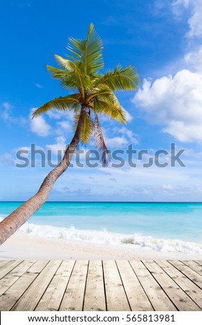 Empty wooden pier on Caribbean Sea coast. Coconut palm grows on white sandy tropical beach on a background. Vertical photo