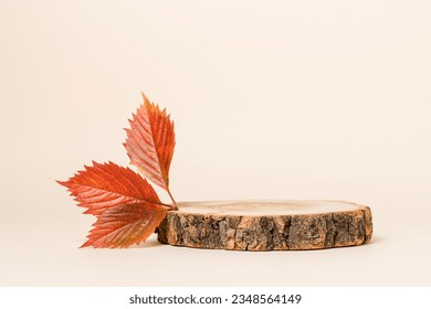 Empty wooden product podium with autumn leaves on beige background. Podium for product presentation, fall concept