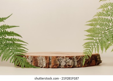 Empty Wooden Round Podium With Fern Leaves, Neutral Background, Aesthetic Minimal Concept