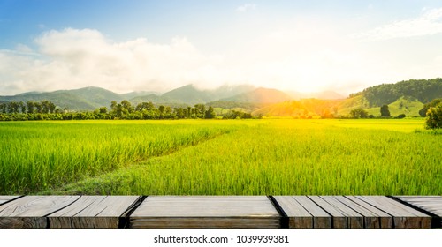 Empty Wooden Shelf Counter On Paddy Farm Background For Food And Nature Product Advertisement Display And Mock Up Design.