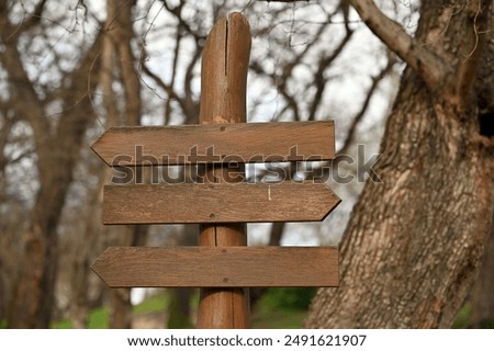 Empty wooden signboard in the forest. A road sign shows the right direction so that no one gets lost.It is also useful as a wedding and party decoration.The distance of cities can be written on it.