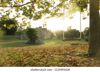 An empty wooden swing is hung on a rope on a large live oak branch . Calm relaxing beautiful view . - Powered by Shutterstock