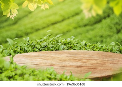Empty wooden table or wooden desk with tea plantation nature background  with green leaves as frame Product display background concept