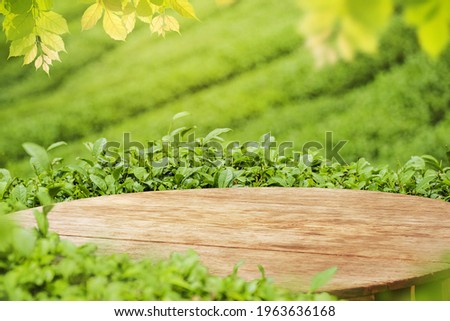 Empty wooden table or wooden desk with tea plantation nature background  with green leaves as frame Product display natural background concept